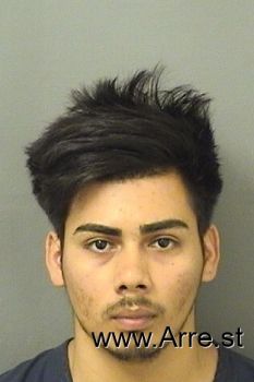 Erick Adilio Valdezgallardo Mugshot