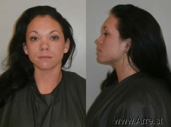 Erika Kaye Anderson Mugshot