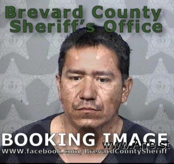 Edgar Antonio Alvarez-flores Mugshot