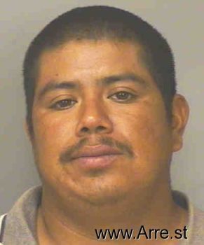 Eduardo  Castillo-villanueva Mugshot