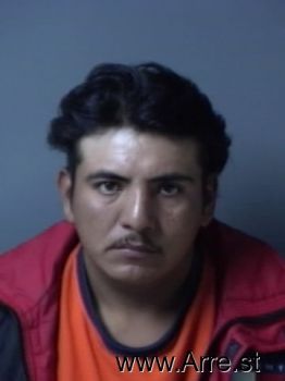 Efren  Martinez-rojano Mugshot