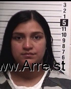 Elena Maria Hernandez Mugshot