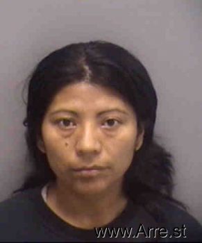 Elena Santiago Hernandez Mugshot