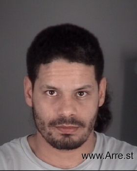 Eliezer  Ocasio-torres Mugshot