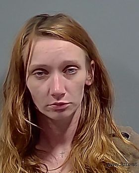 Elizabeth Nicole Berry Mugshot