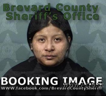 Elizabeth  Diaz Rodriguez Mugshot