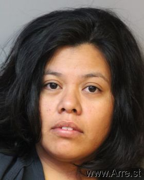 Elizabeth  Garcia-araujo Mugshot