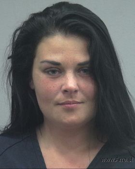 Elizabeth Ashley Johnson Mugshot