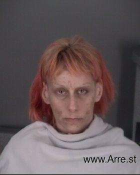 Elizabeth Ann Miller Mugshot