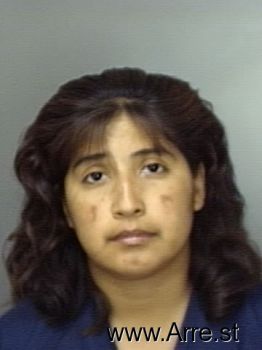 Elizabeth  Vega Mugshot