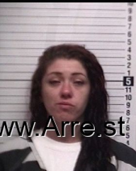 Elizabeth Renee Williams Mugshot