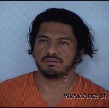 Elvis Osmin Gonzalez-ticas Mugshot