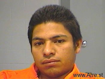 Elvis Osmin Gonzalez-ticas Mugshot