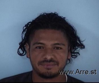 Elvis Osmin Gonzalez Ticas Mugshot