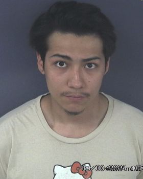 Enrique Alexander Pleitez Mugshot