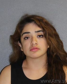 Erica  Benavidez Mugshot