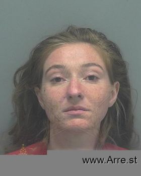 Erica Marie Ellis Mugshot