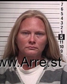 Erica Dawn Evans Mugshot