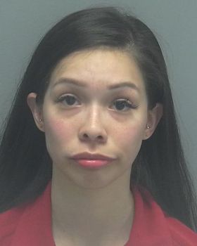 Erica  Gallegos Mugshot