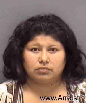 Erica  Garcia-castellanos Mugshot