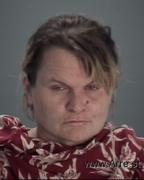 Erica Elizabeth Hill Mugshot