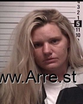 Erica Lee Howard Mugshot