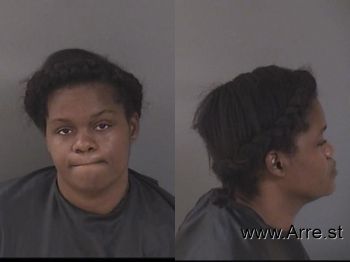 Erica E Johnson Mugshot