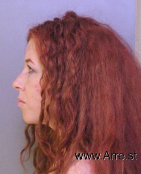 Erica Diane Phillips Mugshot