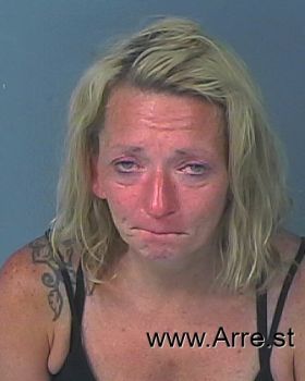 Erica Ann Young Mugshot