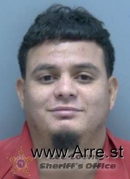 Erick Fernando Mendoza-velasquez Mugshot