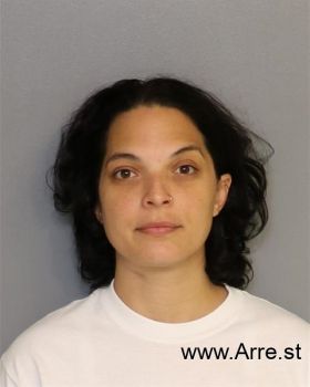 Erika Franccesca Alvarez-aponte Mugshot