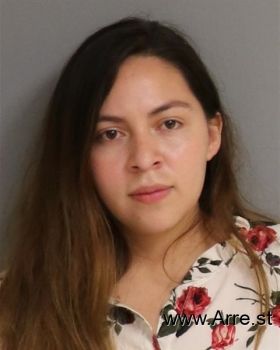 Erika Vanessa Garcia-solorzano Mugshot