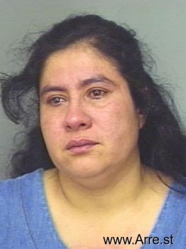 Erika M Hernandez Mugshot