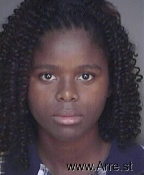 Erika S Hodges Mugshot