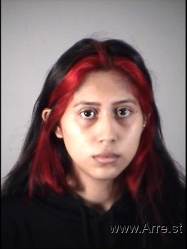 Erika Andrea Marquez Mugshot