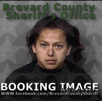 Erika Yesenia Soriano Mugshot