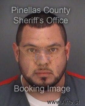 Fernando  Mendoza Mugshot