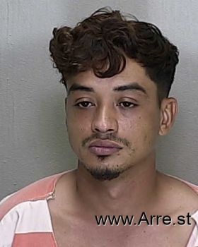 Alexis  Figueroa Mugshot