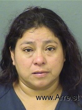 Francisca  Vasquezescalante Mugshot