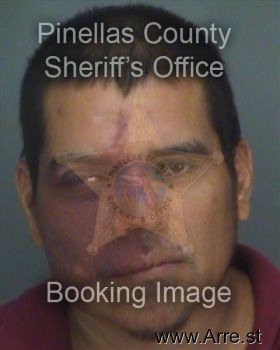 Francisco  Castrobonilla Mugshot