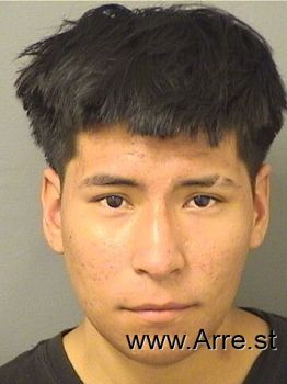 Francisco Jr Morales Mugshot