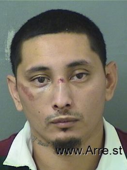 Freddy  Ramirez Mugshot