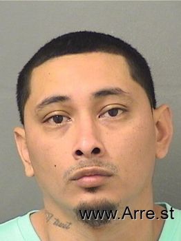 Freddy  Ramirezcastillo Mugshot