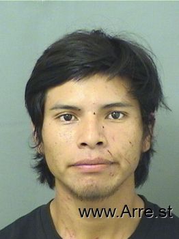 Fredy  Perezdeleon Mugshot