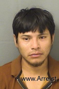 Fredy  Perezdeleon Mugshot