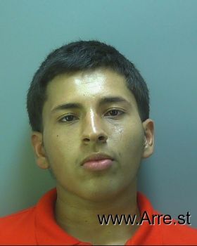 Fabian  Gonzalez Mugshot