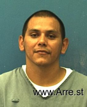 Fernando Jr Flores Mugshot