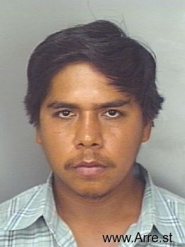 Fernando Bernin Flores Mugshot