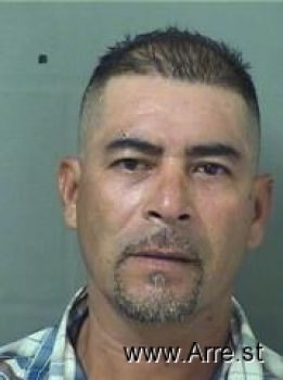 Fernando  Flores Mugshot