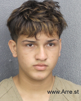 Fernando A Ramirez Gonzalez Mugshot